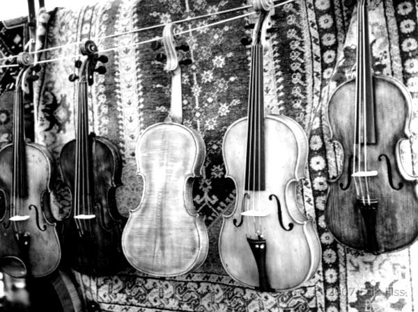 Violins - click to continue