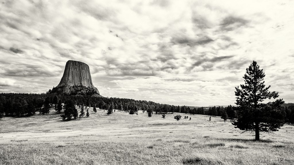 Devils Tower NM, WY - click to continue