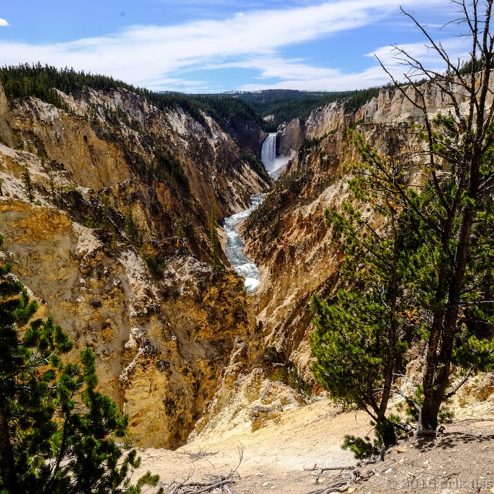 Grand Canyon of the Yellowstone, Yellowstone NP - click to continue