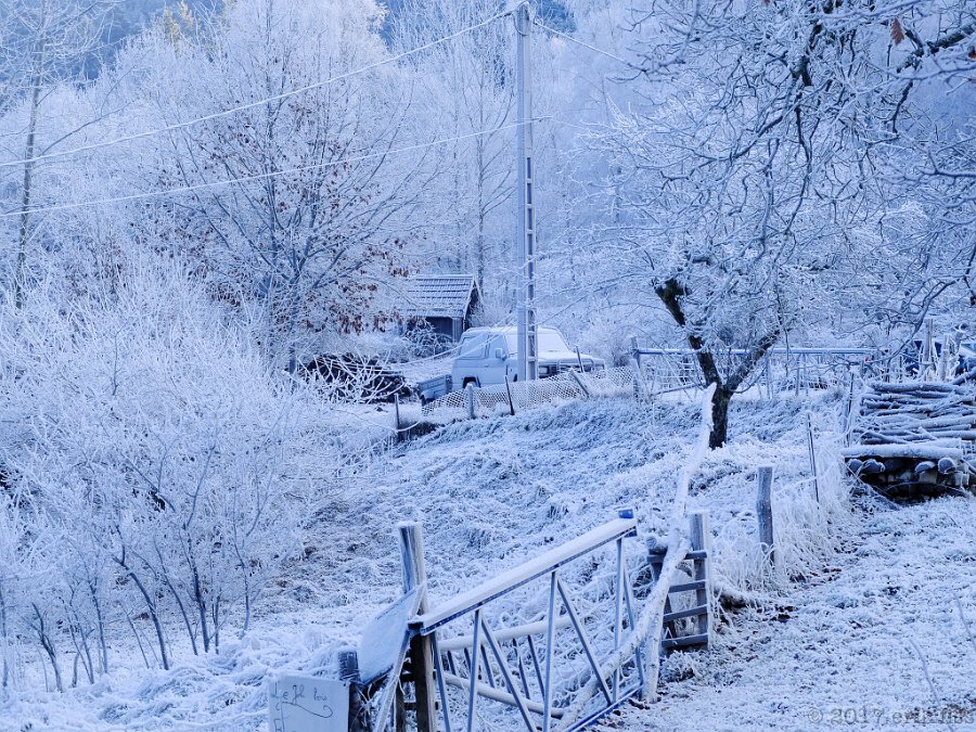 erik-fiss-photos-2017-frozen-fog