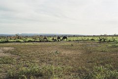20090215c007