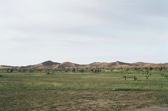 20090215c009