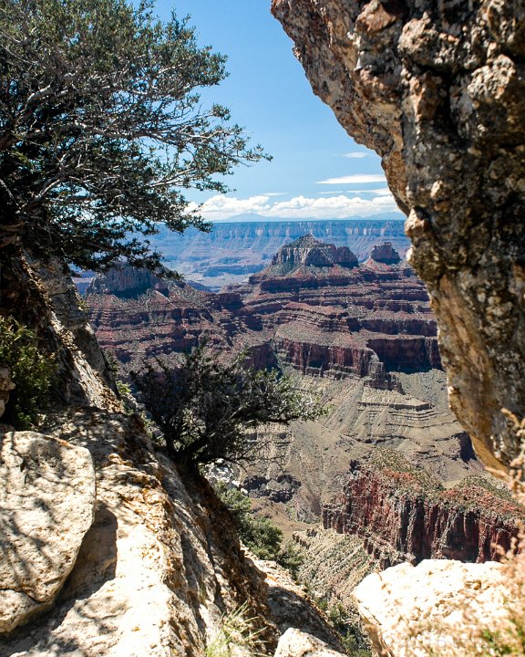 Grand Canyon NP, North Rim - click to continue