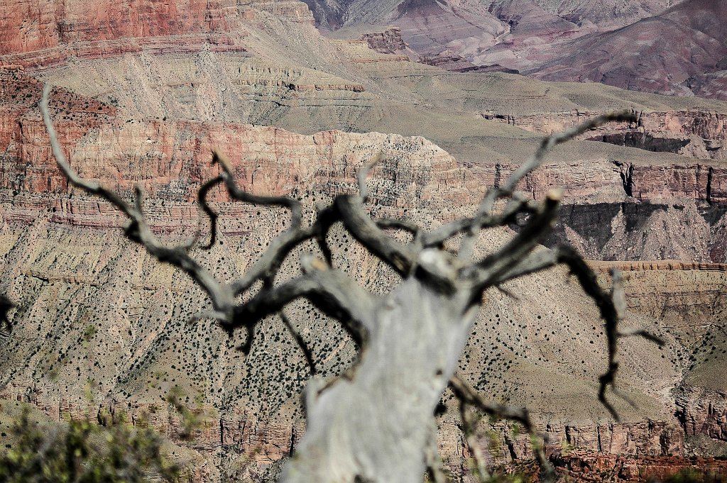 Grand Canyon NP, North Rim - click to continue