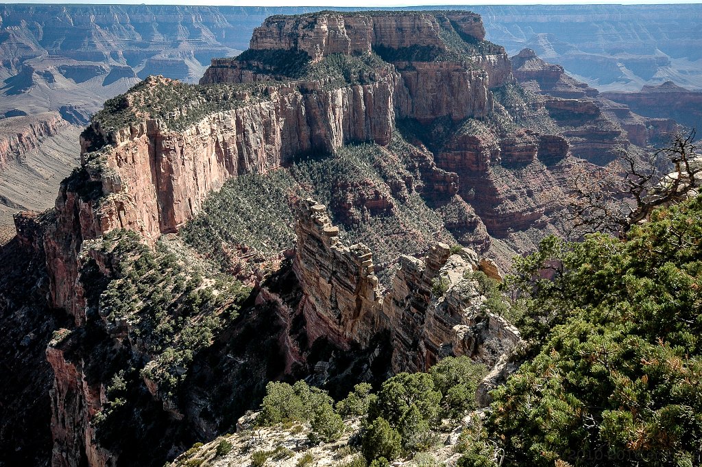 Grand Canyon NP, North Rim - click to go back to thumbnails