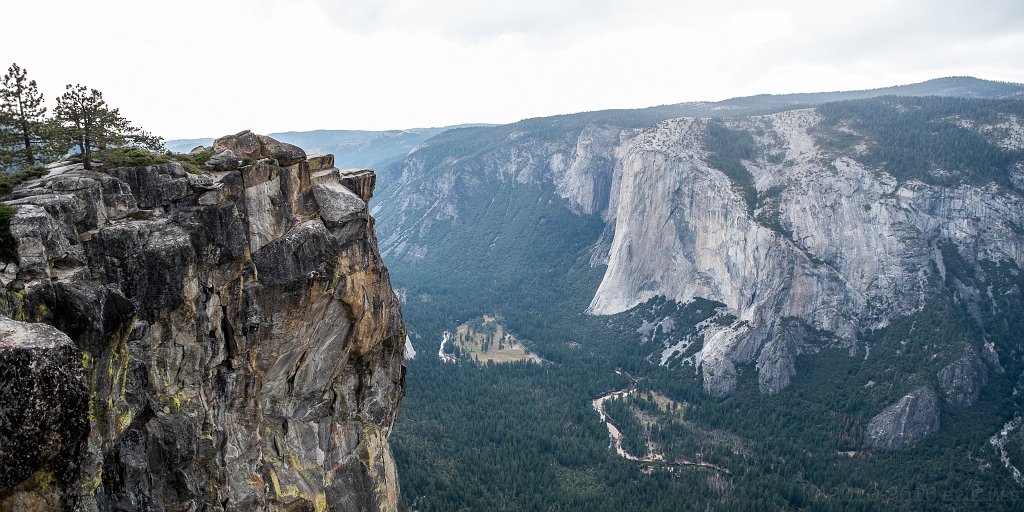Taft Point - click to continue
