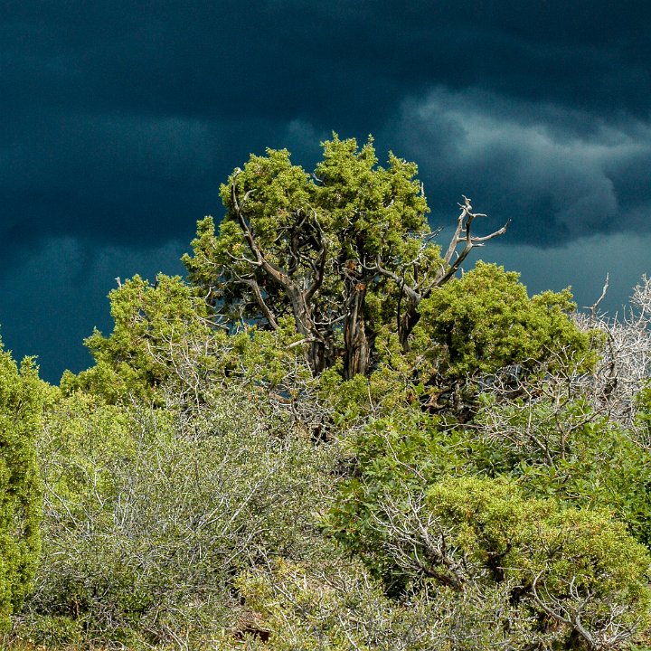 Black Canyon of the Gunnison NP - click to continue