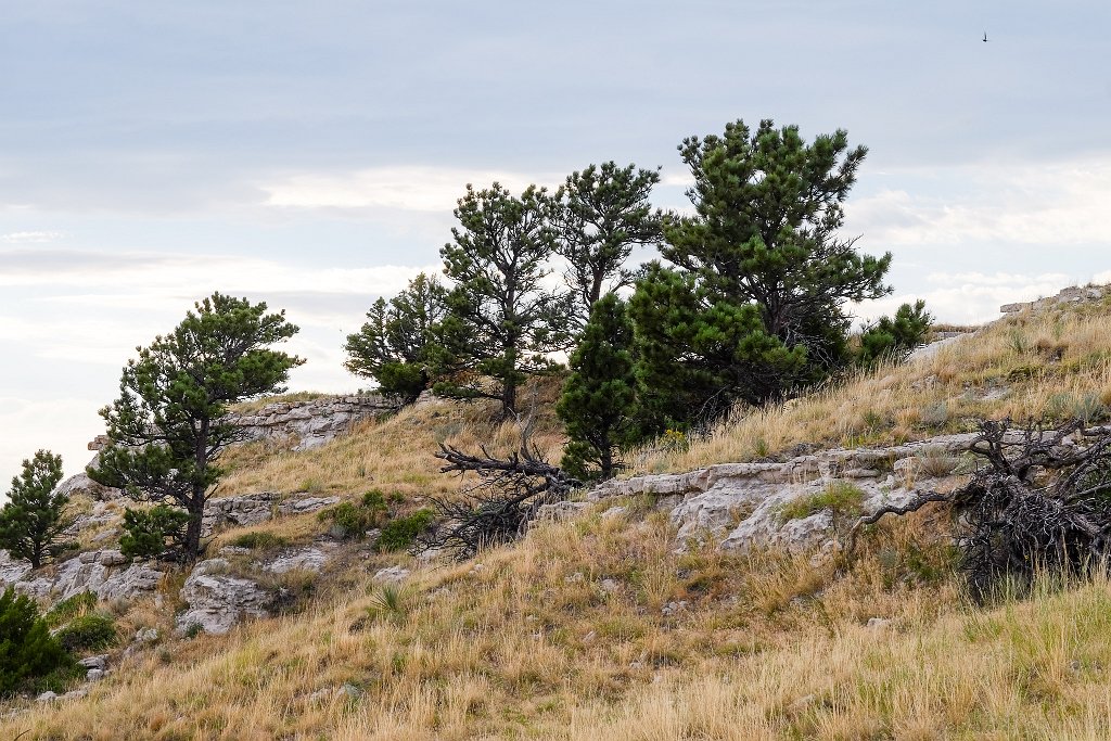 Scott's Bluff NM - click to continue