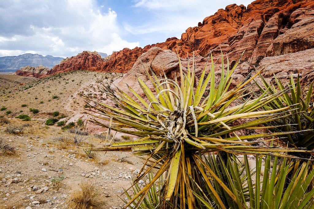 Red Rock Canyon - click to continue