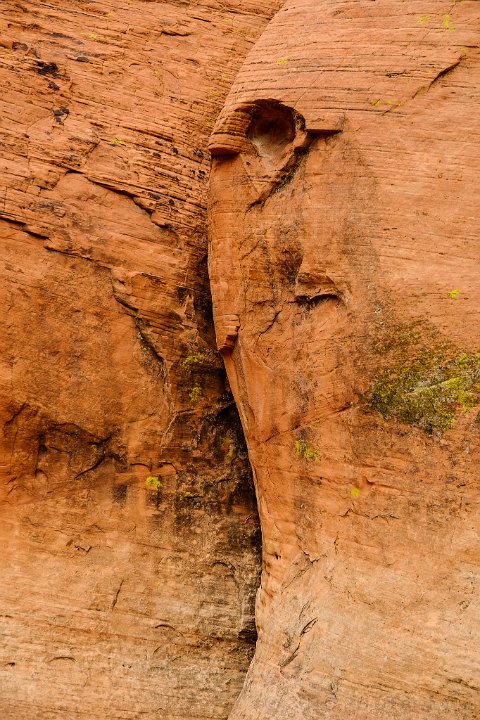 Red Rock Canyon - click to continue