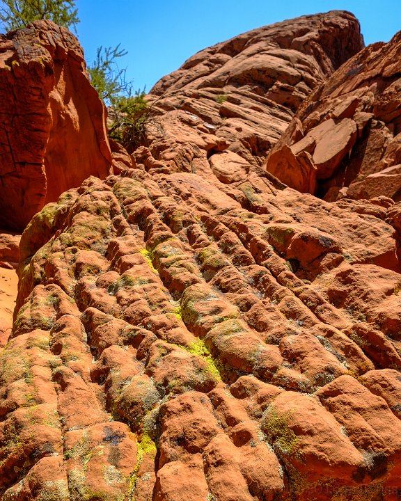 Valley of Fire SP - click to continue