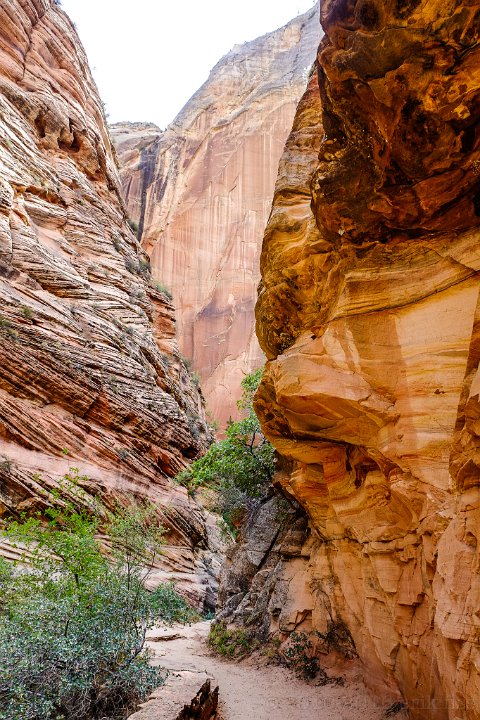 Zion National Park - click to continue