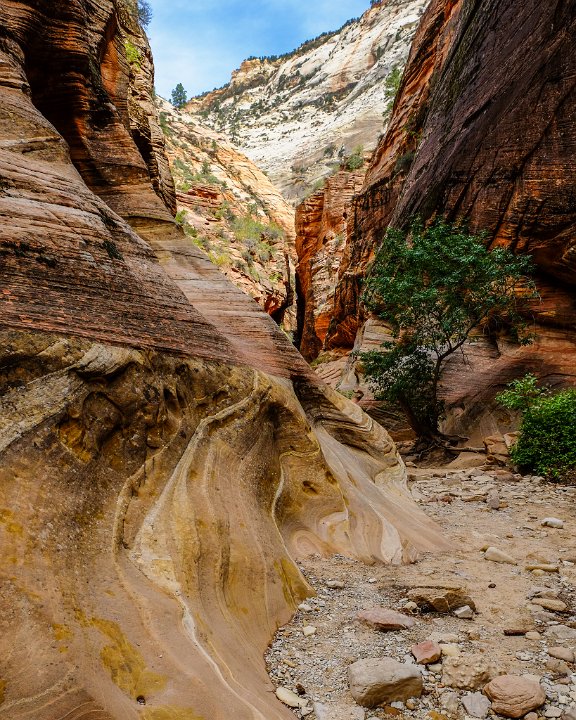 Zion National Park - click to continue