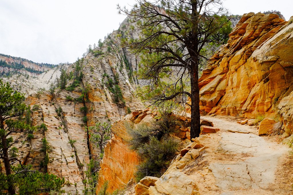 Zion National Park - click to continue