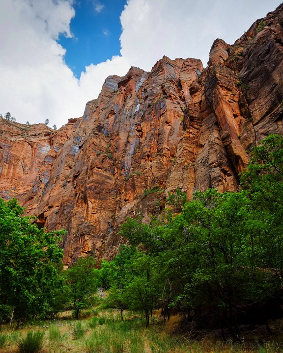 Zion National Park - click to go back to thumbnails