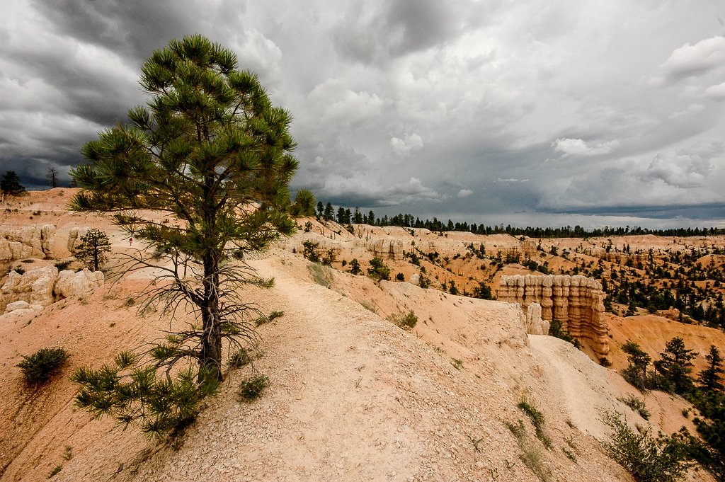 Bryce Canyon National Park - click to continue