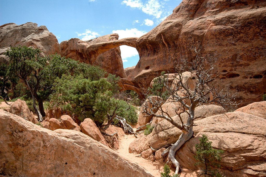 Arches National Park - click to continue