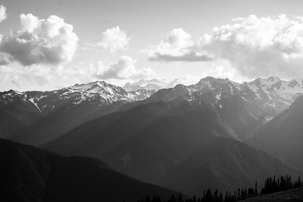 Olympic National Park, Hurricane Ridge - click to continue