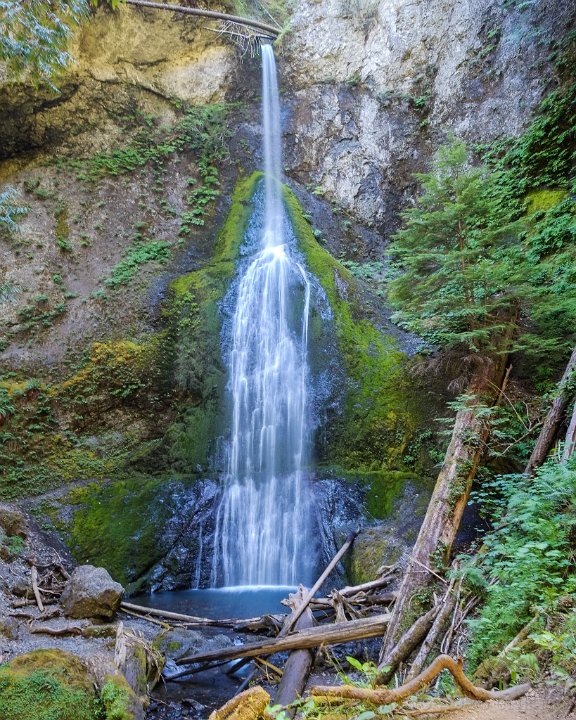 Olympic National Park, Marymere Falls - click to continue